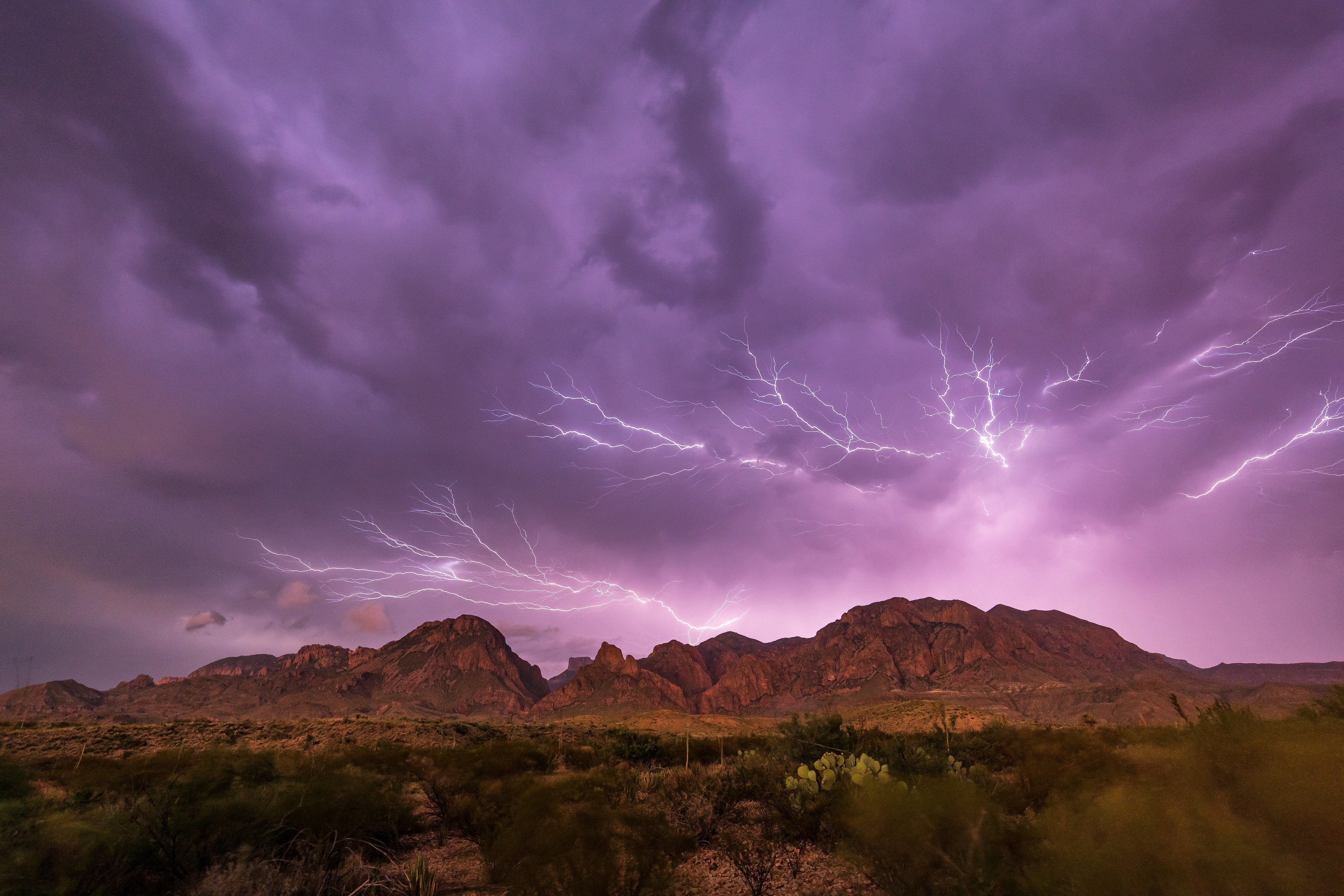 Universum: Big Bend - Amerikas wildeste Grenze