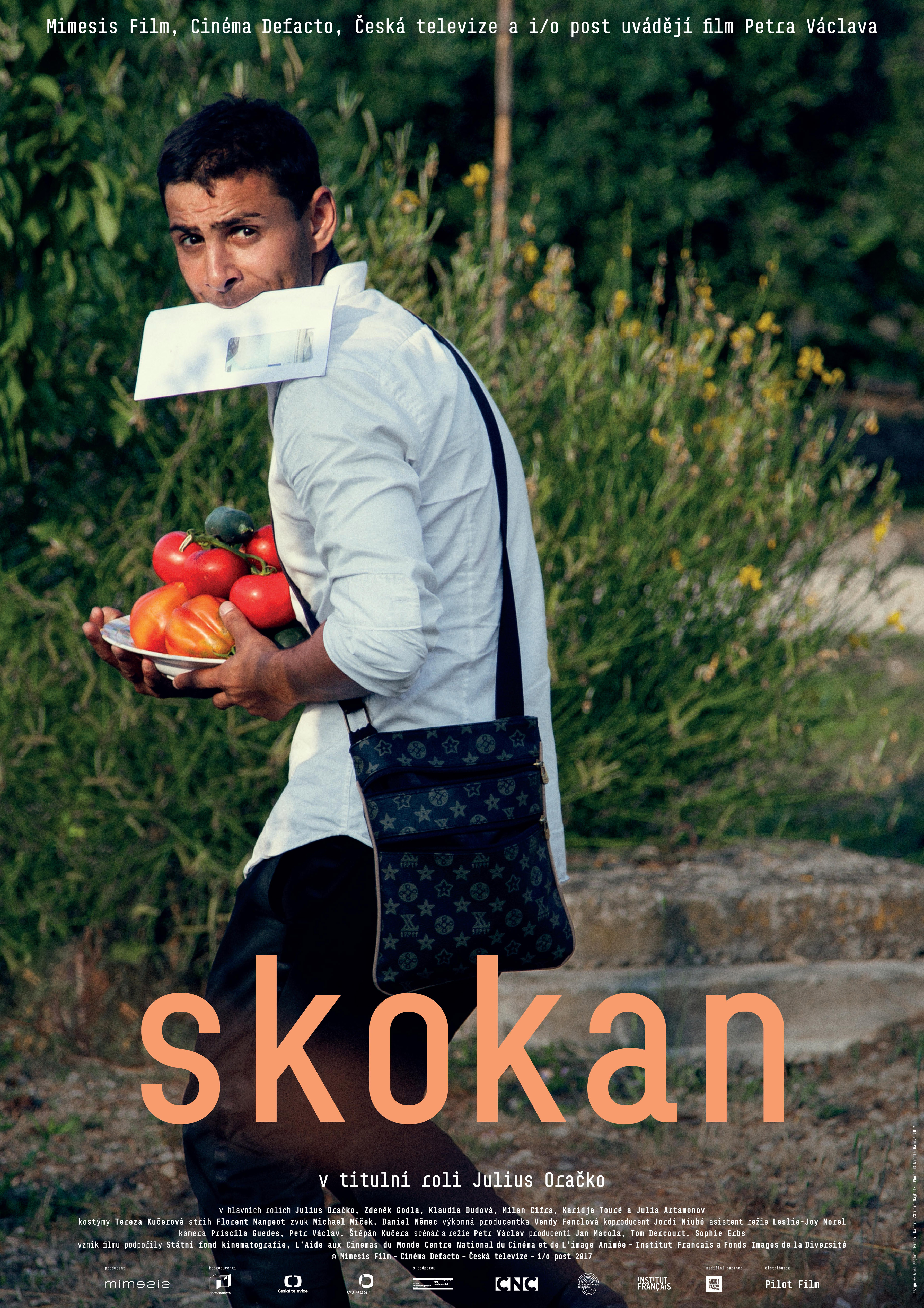 Skokan Skokan