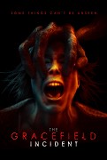 The Gracefield Incident The Gracefield Incident