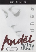 Poster k filmu Anjel skazy