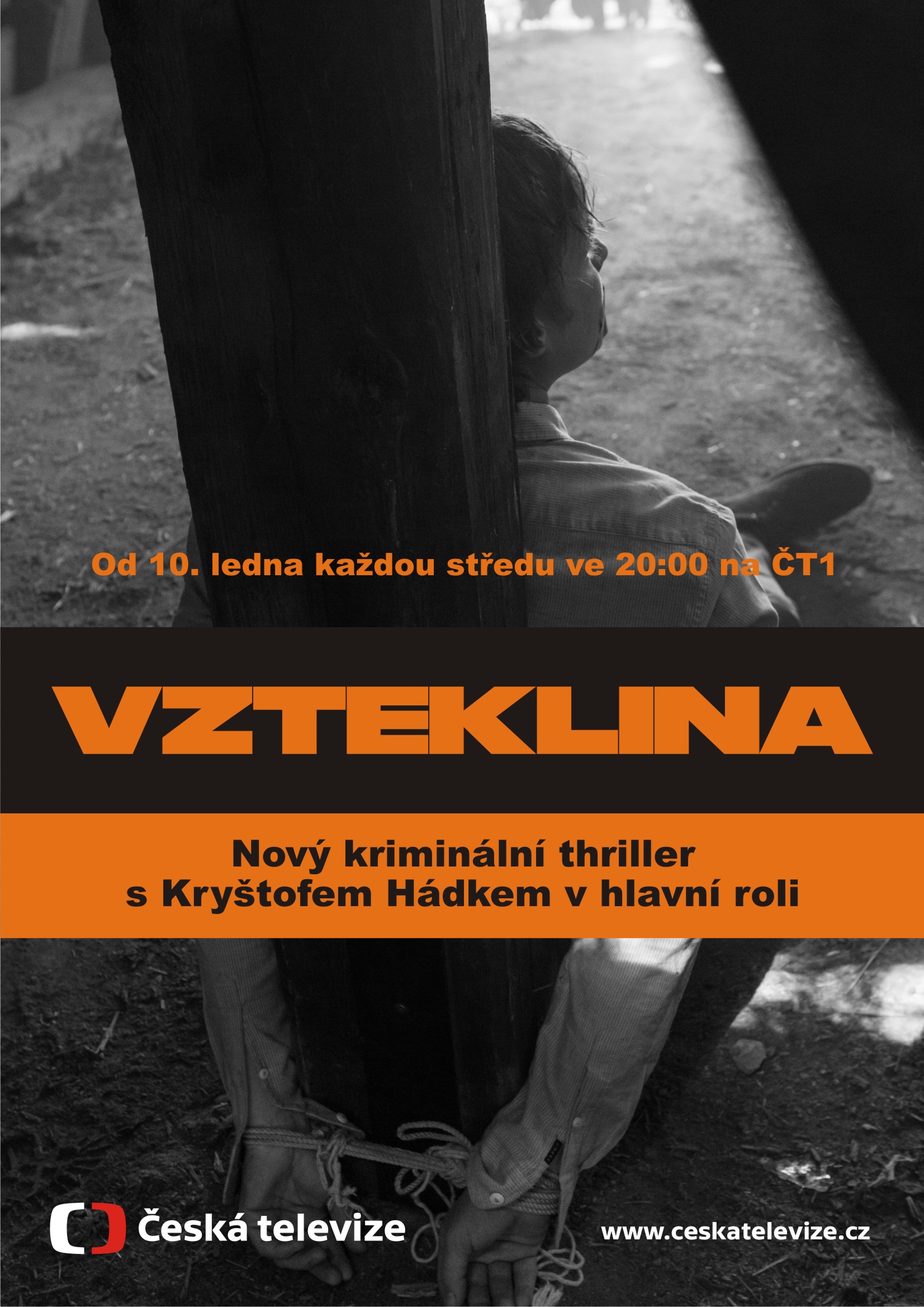 Vzteklina Vzteklina