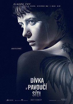 Dívka v pavoucí síti