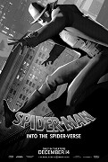 Poster undefined          Spider-Man: ParalelnÃ© svety