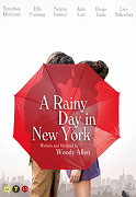 A Rainy Day in a New York