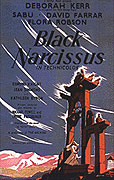 Cerný Narcis