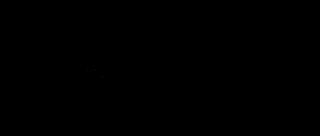 alcon.gif