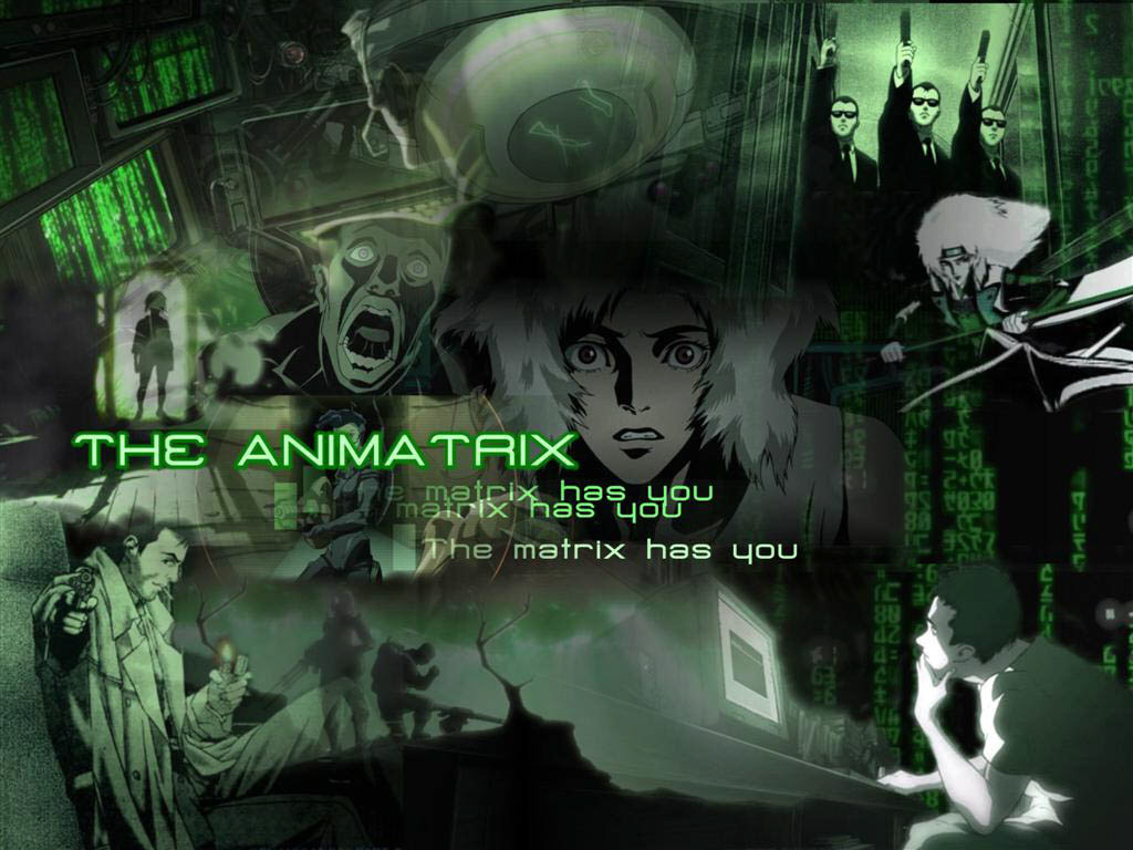 The Animatrix