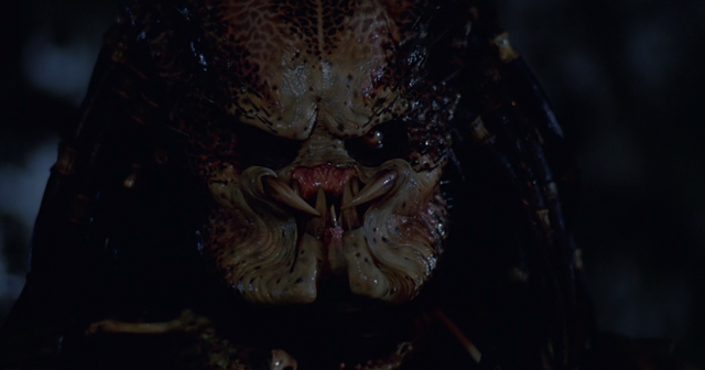 Predator