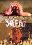 Šílení