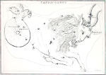 Capricornus 800pxzodiacalconstellat.jpg