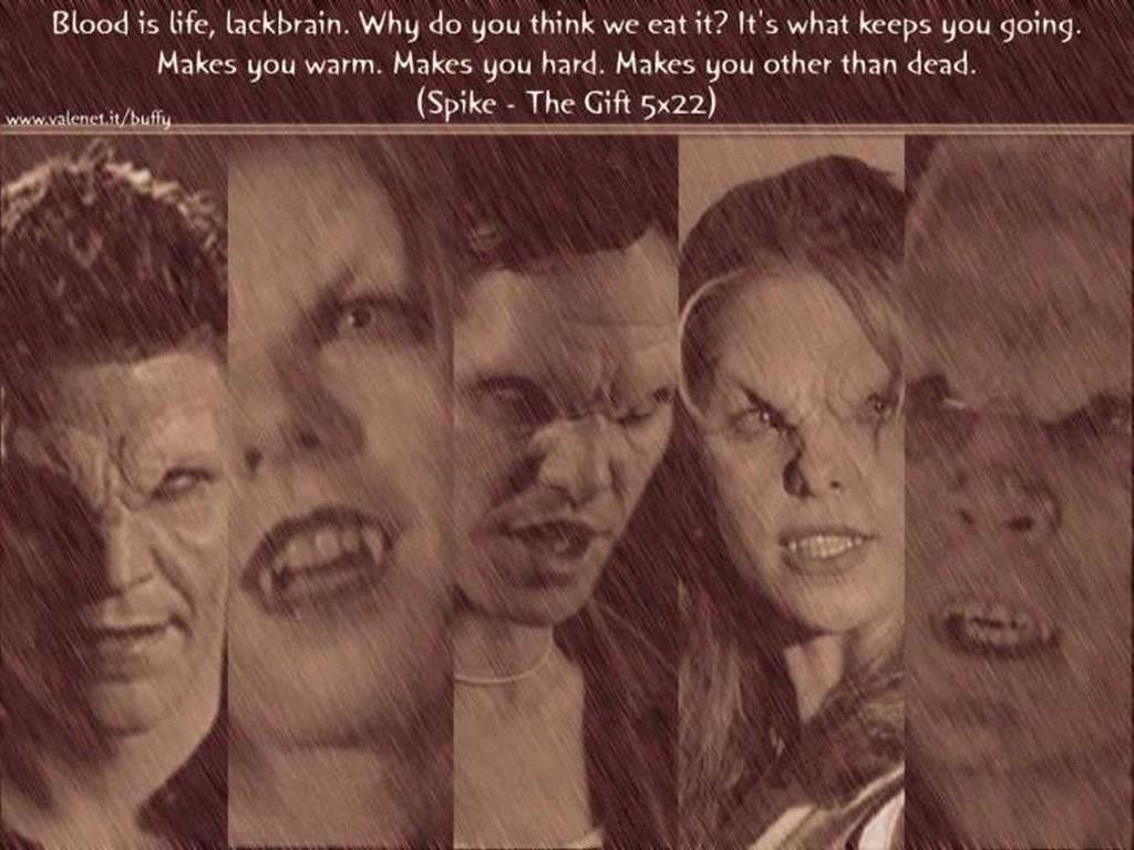 Buffy The Vampire Slayer Buffy The Vampire Slayer