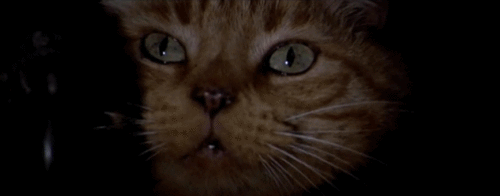 159447119_6ec980.gif