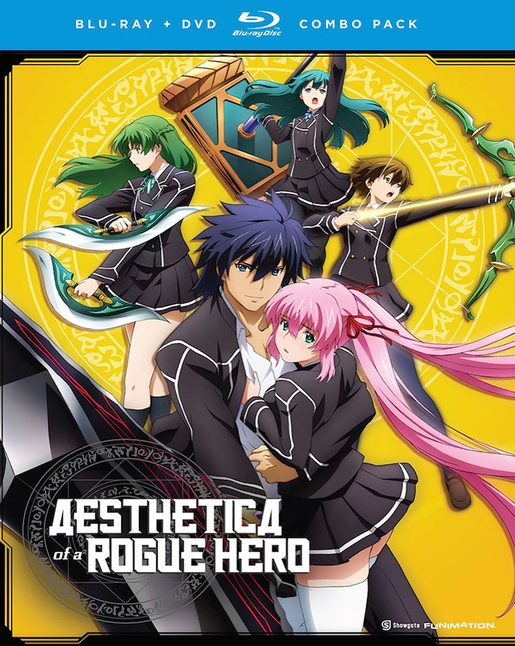 Aesthetica of a Rogue Hero Aesthetica of a Rogue Hero