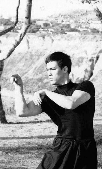 Málokdo ví, že Bruce si osvojil i tradiční styl kung fu - mantis fist Málokdo ví, že Bruce si osvojil i tradiční styl kung fu - mantis fist