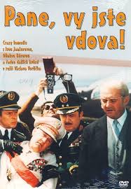 Pane, Vy jste vdova! Pane, Vy jste vdova!
