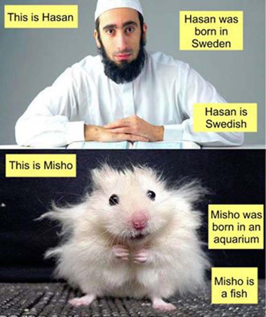 Hasan Misho Hasan Misho