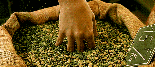 Amelie