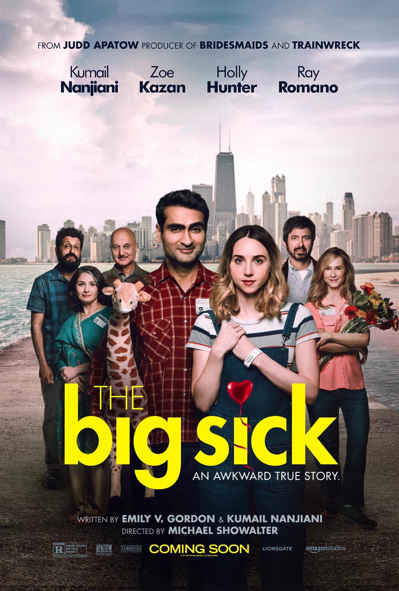 Pěkně blbě (2017) Pěkně blbě (2017)