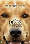 A Dog's Purpose A Dog's Purpose