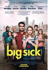 The Big Sick The Big Sick