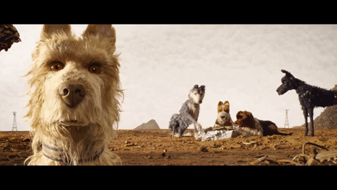 Isle of Dogs